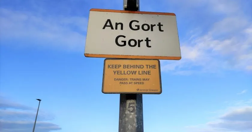 Abrindo caminhos: a rota de imigração de centenas de brasileiros para Gort, na Irlanda