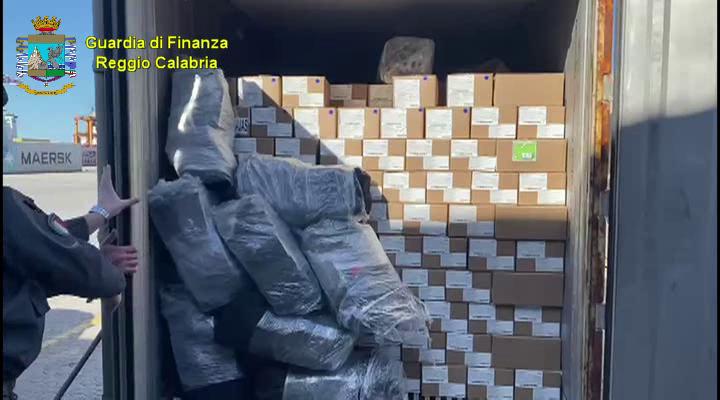 Europa: polícia apreende droga enviada do Brasil avaliada em €100 milhões