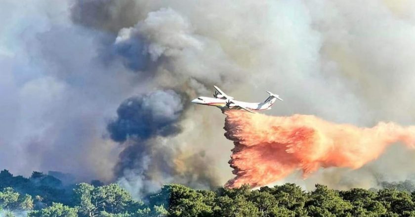 Incêndios florestais atingem sudoeste da França e 6,5 mil pessoas são evacuadas