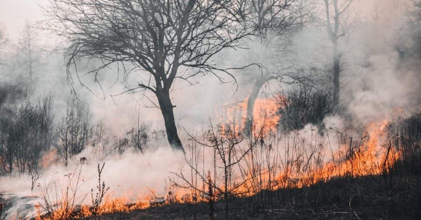 Portugal: 70 pessoas já foram presas por provocar incêndios florestais neste ano