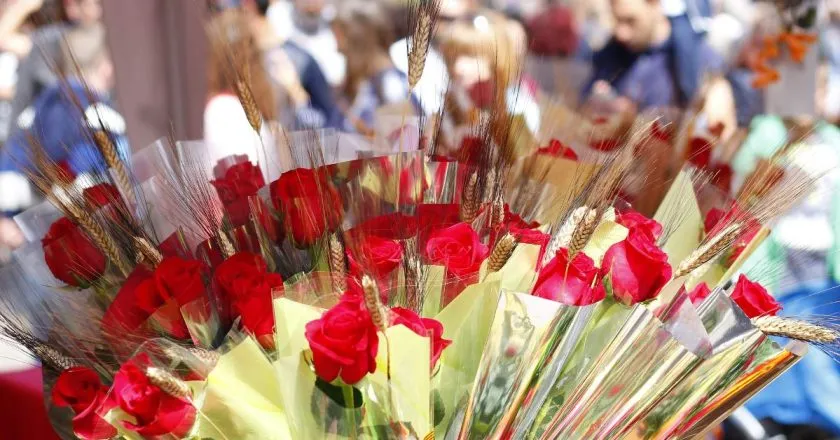 Dia das rosas e livros: Barcelona celebra Sant Jordi nesta terça-feira